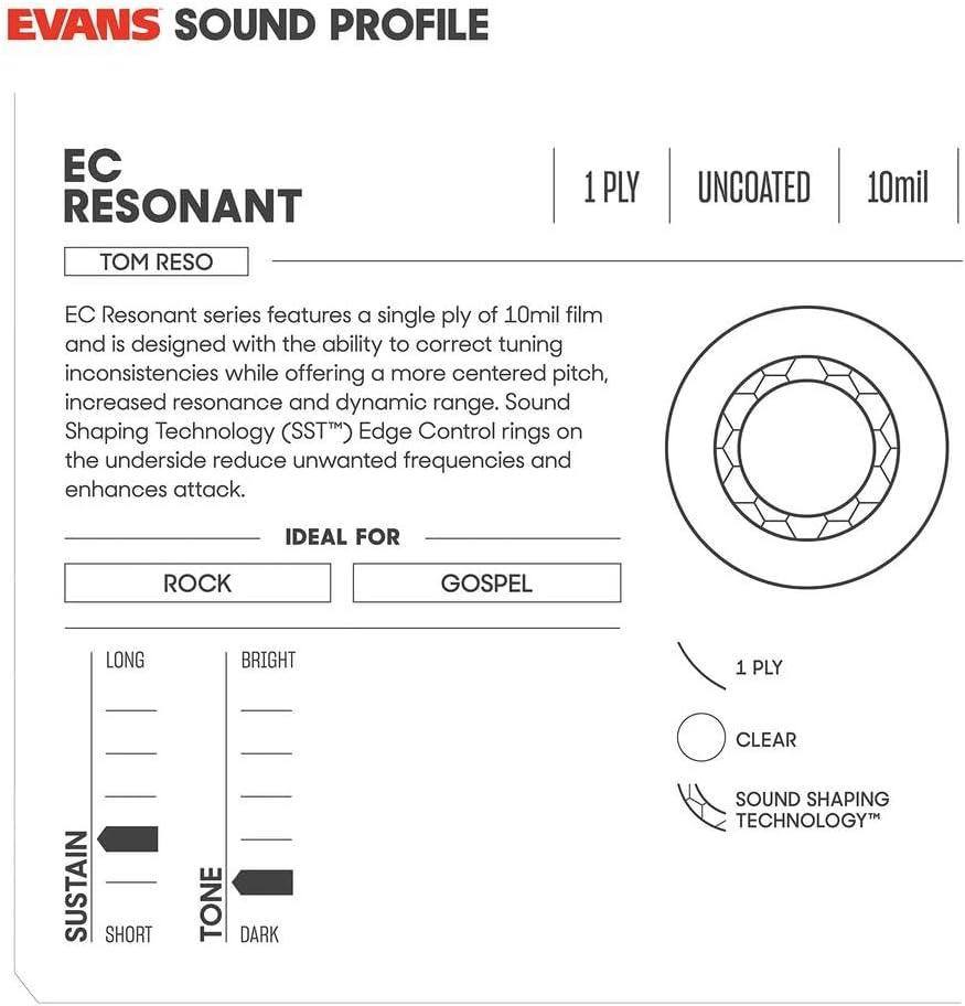 Our Take: Evans TT12ECR ‌- Centered, ​Resonant Tone